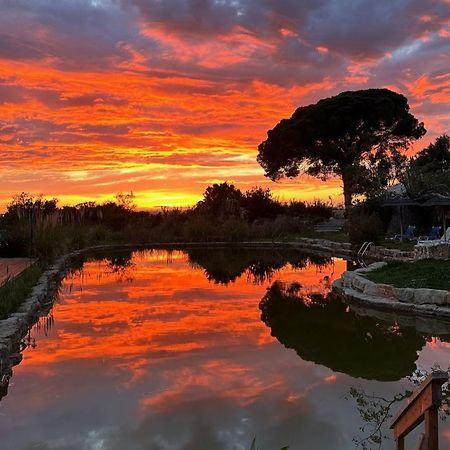 Oasis Camp Portugal Hotell Lagoa  Exteriör bild
